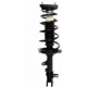Purchase Top-Quality Rear Complete Strut Assembly by PRT - 814805 pa1