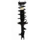 Purchase Top-Quality Rear Complete Strut Assembly by PRT - 814806 pa1