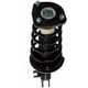Purchase Top-Quality Rear Complete Strut Assembly by PRT - 814806 pa3