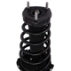 Purchase Top-Quality PRT - 814909 - Suspension Strut And Coil Spring Assembly pa2