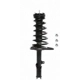 Purchase Top-Quality Rear Complete Strut Assembly by PRT - 816348 pa1
