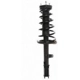 Purchase Top-Quality Rear Complete Strut Assembly by PRT - 816380 pa1