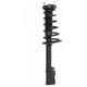 Purchase Top-Quality Rear Complete Strut Assembly by PRT - 816380 pa2