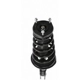 Purchase Top-Quality Rear Complete Strut Assembly by PRT - 816380 pa3