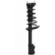 Purchase Top-Quality Rear Complete Strut Assembly by PRT - 816554 pa2