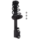 Purchase Top-Quality PRT - 816731 - Suspension Strut and Coil Spring Assembly pa2