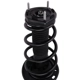 Purchase Top-Quality PRT - 816731 - Suspension Strut and Coil Spring Assembly pa3