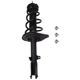Purchase Top-Quality PRT - 816732 - Suspension Strut and Coil Spring Assembly pa1