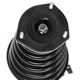 Purchase Top-Quality PRT - 817035 - Suspension Strut and Coil Spring Assembly pa3