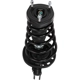 Purchase Top-Quality Rear Complete Strut Assembly by PRT - 818581 pa2