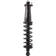 Purchase Top-Quality Rear Complete Strut Assembly by PRT - 920133 pa1