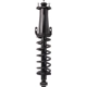 Purchase Top-Quality Rear Complete Strut Assembly by PRT - 920133 pa2
