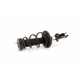 Purchase Top-Quality Rear Complete Strut Assembly by UNITY AUTOMOTIVE - 15074 pa1