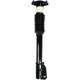 Purchase Top-Quality WORLDPARTS STRUTS - W1332310 - Rear Complete Strut Assembly pa1