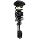Purchase Top-Quality WORLDPARTS STRUTS - W1332347L - Rear Complete Strut Assembly pa1