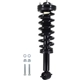Purchase Top-Quality WORLDPARTS STRUTS - W1333320R - Rear Complete Strut Assembly pa1