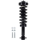 Purchase Top-Quality WORLDPARTS STRUTS - W1333320R - Rear Complete Strut Assembly pa2