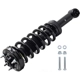 Purchase Top-Quality WORLDPARTS STRUTS - W1333320R - Rear Complete Strut Assembly pa5