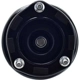 Purchase Top-Quality WORLDPARTS STRUTS - W1333376R - Rear Complete Strut Assembly pa5