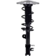 Purchase Top-Quality WORLDPARTS STRUTS - W1334148R - Rear Complete Strut Assembly pa3