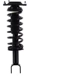 Purchase Top-Quality WORLDPARTS STRUTS - W1335578 - Rear Complete Strut Assembly pa1