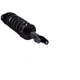 Purchase Top-Quality WORLDPARTS STRUTS - W1335578 - Rear Complete Strut Assembly pa2