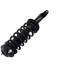 Purchase Top-Quality WORLDPARTS STRUTS - W1335578 - Rear Complete Strut Assembly pa3