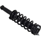 Purchase Top-Quality WORLDPARTS STRUTS - W1345402 - Rear Complete Strut Assembly pa3
