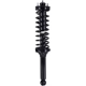 Purchase Top-Quality WORLDPARTS STRUTS - W1345415 - Assemblage complet d'amortisseur arrière pa5