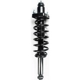 Purchase Top-Quality WORLDPARTS STRUTS - W1345683 - Rear Complete Strut Assembly pa1
