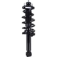 Purchase Top-Quality WORLDPARTS STRUTS - W1345721R - Rear Complete Strut Assembly pa3