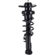 Purchase Top-Quality WORLDPARTS STRUTS - W1345820R - Rear Complete Strut Assembly pa1