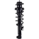 Purchase Top-Quality WORLDPARTS STRUTS - W1345820R - Rear Complete Strut Assembly pa2
