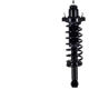 Purchase Top-Quality WORLDPARTS STRUTS - W1345830 - Rear Complete Strut Assembly pa1