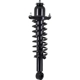 Purchase Top-Quality WORLDPARTS STRUTS - W1345845R - Rear Complete Strut Assembly pa1