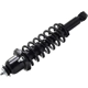Purchase Top-Quality WORLDPARTS STRUTS - W1345845R - Rear Complete Strut Assembly pa2