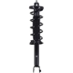 Purchase Top-Quality WORLDPARTS STRUTS - W2345793R - Rear Complete Strut Assembly pa1