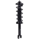 Purchase Top-Quality WORLDPARTS STRUTS - W2345793R - Rear Complete Strut Assembly pa2