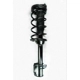 Purchase Top-Quality Rear Complete Strut Assembly by WORLDPARTS STRUTS - W1331578L pa1