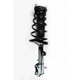 Purchase Top-Quality Rear Complete Strut Assembly by WORLDPARTS STRUTS - W1331590L pa1