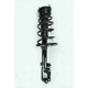 Purchase Top-Quality Rear Complete Strut Assembly by WORLDPARTS STRUTS - W1331607R pa1