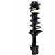 Purchase Top-Quality Rear Complete Strut Assembly by WORLDPARTS STRUTS - W1331709L pa1
