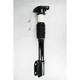 Purchase Top-Quality Rear Complete Strut Assembly by WORLDPARTS STRUTS - W1332313 pa1