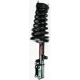 Purchase Top-Quality Rear Complete Strut Assembly by WORLDPARTS STRUTS - W1332362L pa1