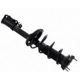 Purchase Top-Quality Assemblage complet d'amortisseur arrière by WORLDPARTS STRUTS - W1332369L pa5