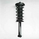 Purchase Top-Quality Rear Complete Strut Assembly by WORLDPARTS STRUTS - W1336348 pa1