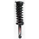 Purchase Top-Quality Rear Complete Strut Assembly by WORLDPARTS STRUTS - W1345398 pa1