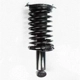 Purchase Top-Quality Rear Complete Strut Assembly by WORLDPARTS STRUTS - W1345398 pa2