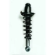 Purchase Top-Quality Rear Complete Strut Assembly by WORLDPARTS STRUTS - W1345404L pa1