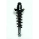Purchase Top-Quality Rear Complete Strut Assembly by WORLDPARTS STRUTS - W1345404R pa1